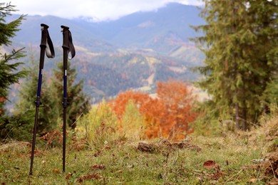 Photo of Trekking poles in mountains. Space for text
