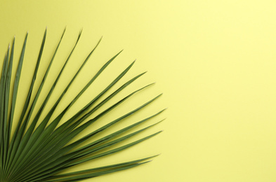 Photo of Leaf of tropical palm tree on yellow background, top view