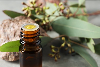 Photo of Bottle of eucalyptus essential oil, stone and leaves on light grey table, closeup. Space for text