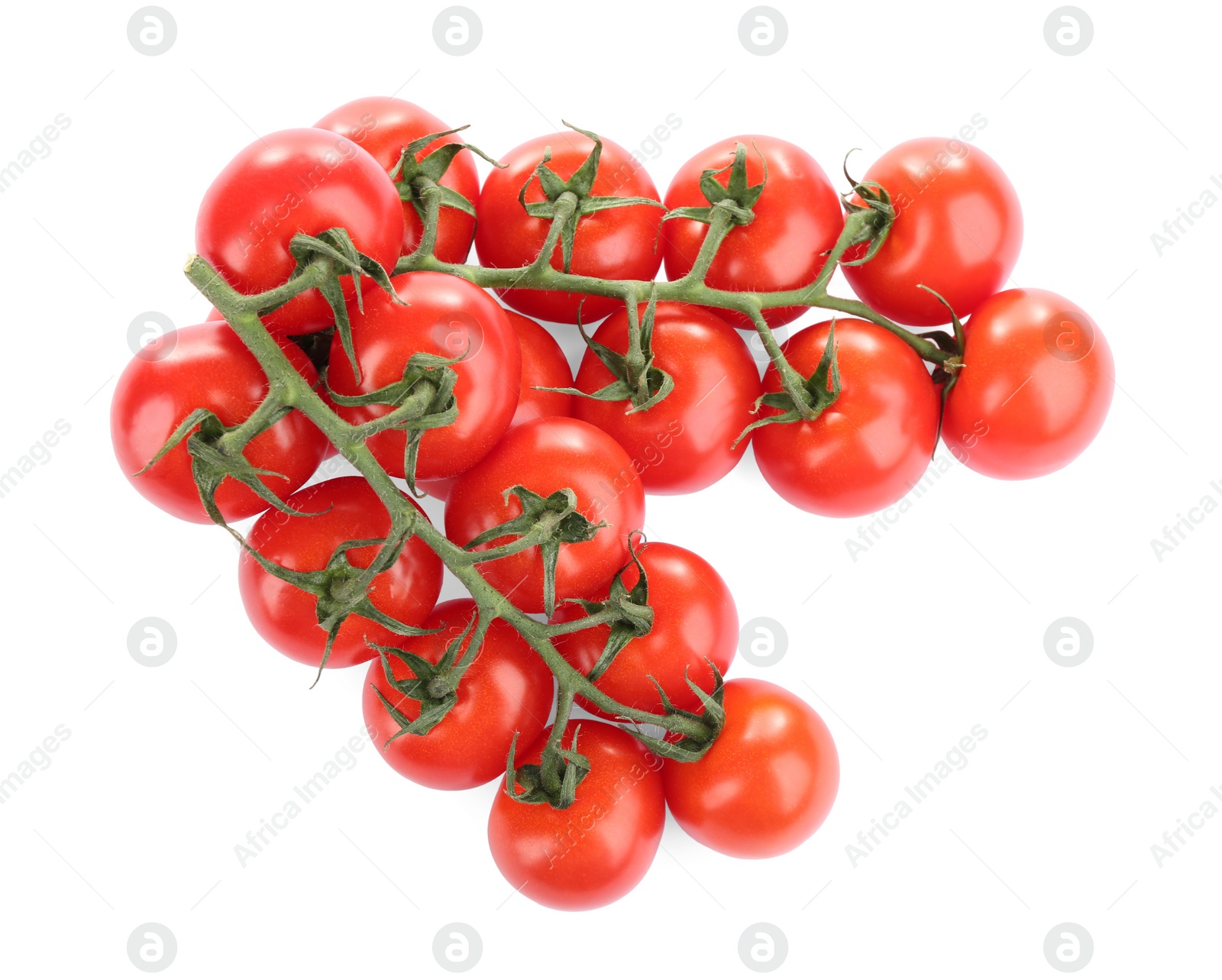 Photo of Branches of fresh cherry tomatoes isolated on white, top view