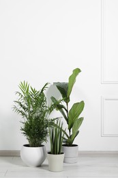 Photo of Many different houseplants in pots on floor near white wall indoors, space for text