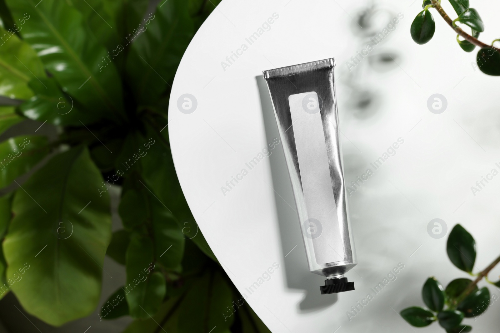 Photo of Tube of luxury cosmetic product on white table and plants indoors, top view