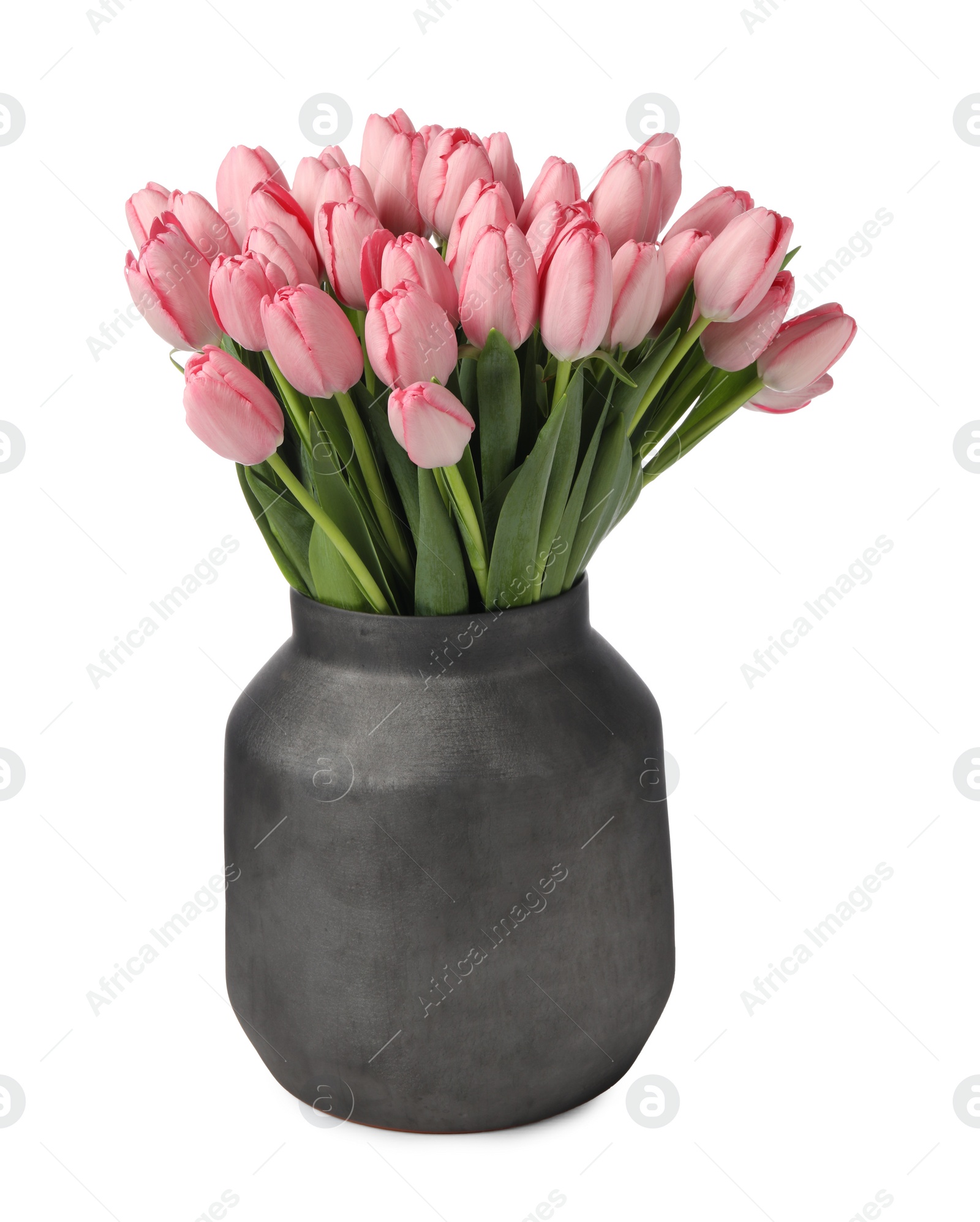 Photo of Bouquet of beautiful pink tulips in vase isolated on white