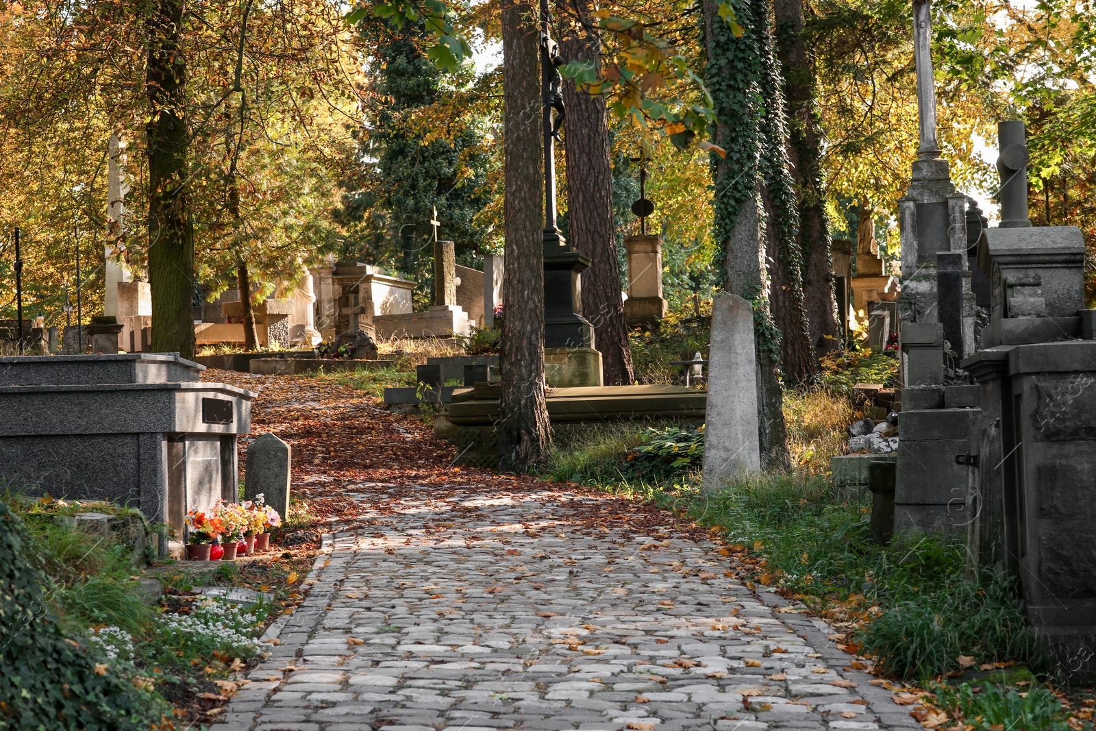 Photo of View of cemetery with granite tombstones and paved footpath on sunny day. Funeral ceremony