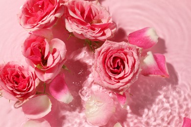 Photo of Beautiful roses and petals in water on pink background, top view