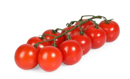 Branch with ripe cherry tomatoes isolated on white