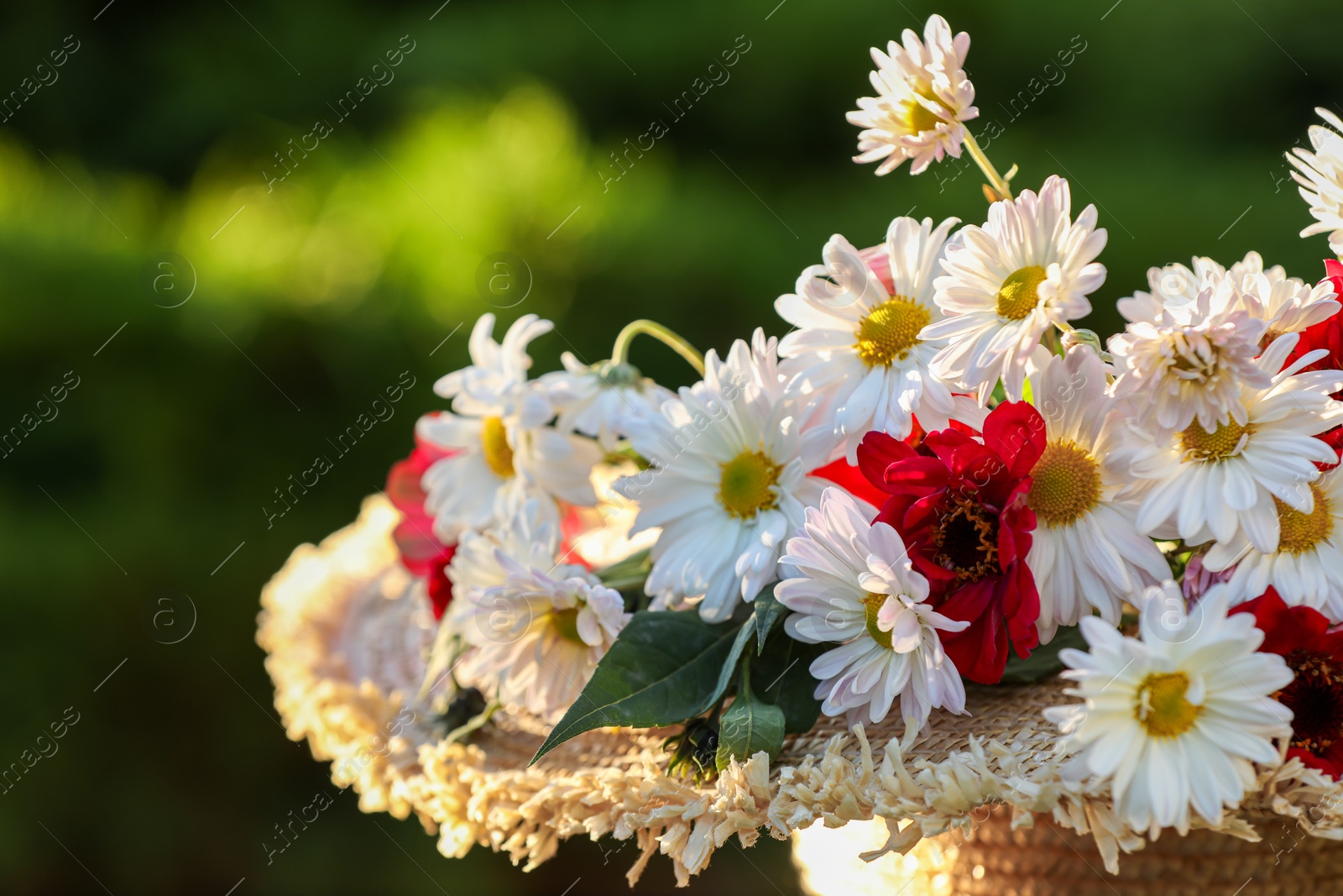 Photo of Beautiful wild flowers in wicker basket against blurred background, closeup. Space for text