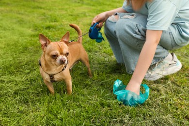 Photo of Woman picking up her dog's poop from green grass, closeup