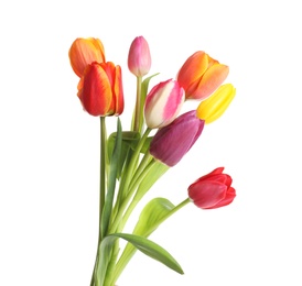 Photo of Beautiful bright tulips on white background. Spring flowers