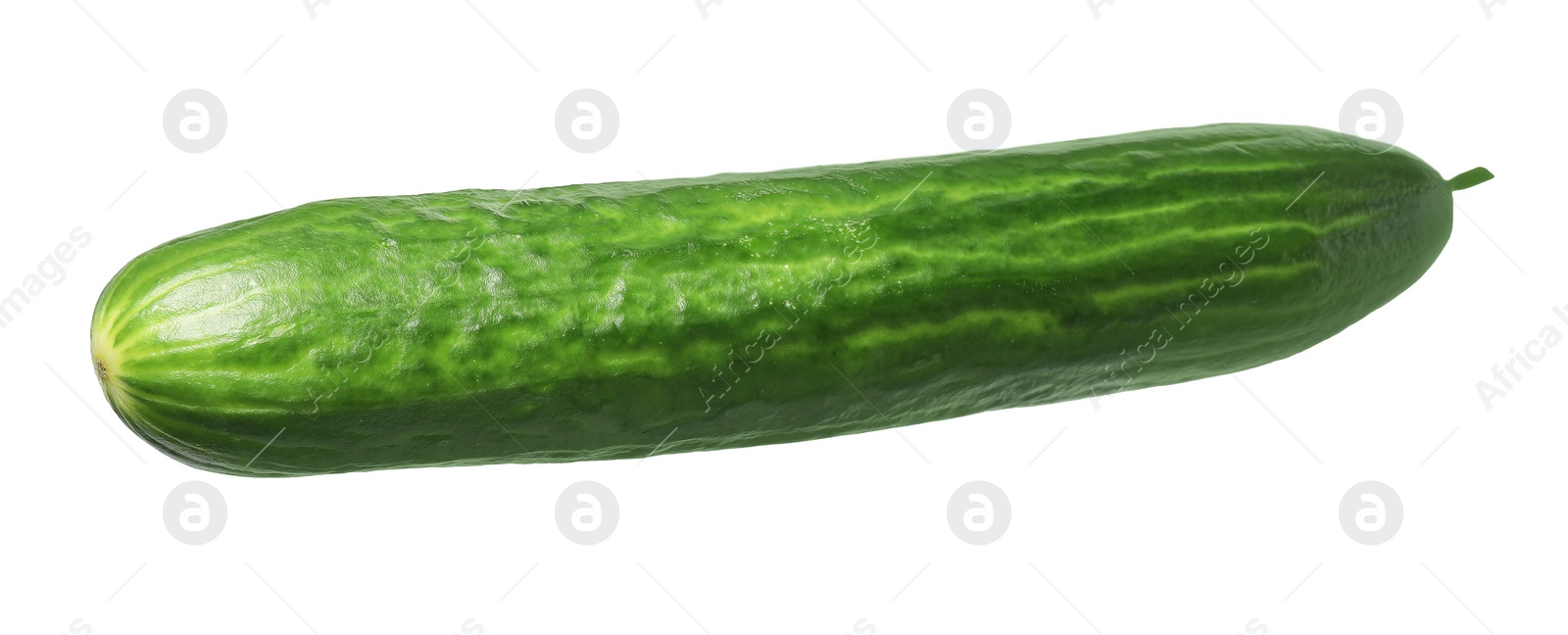 Photo of One long fresh cucumber isolated on white