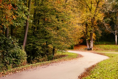 Photo of Beautiful view of park with trees on autumn day