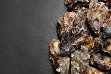Photo of Fresh oysters on black table, flat lay. Space for text