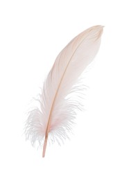 Photo of Fluffy beautiful beige feather isolated on white