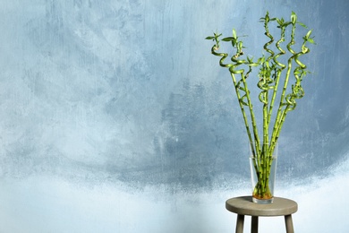 Photo of Table with bamboo plant in glass vase near color wall. Space for text