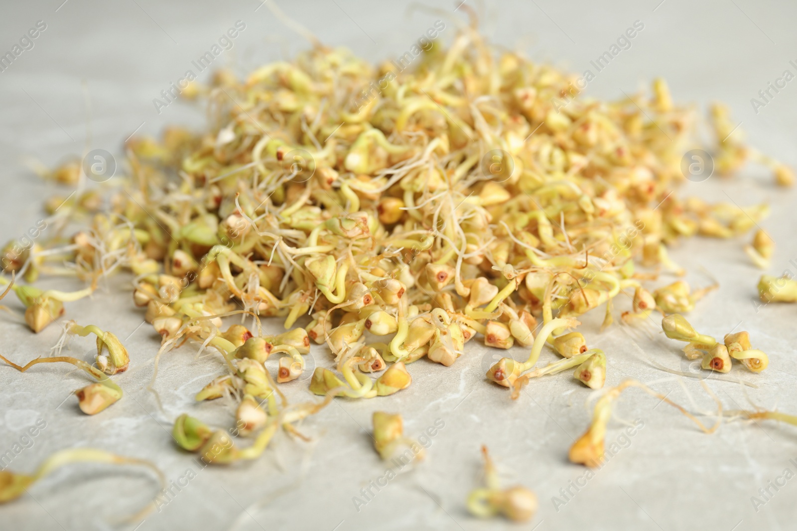 Photo of Heap of sprouted green buckwheat on light table, closeup