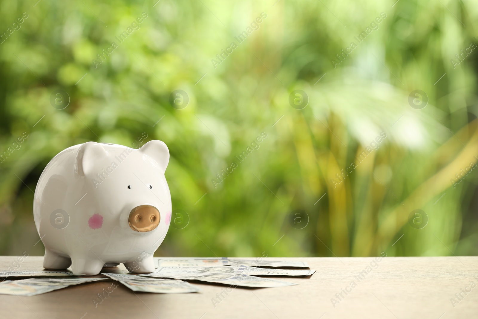 Photo of Piggy bank and banknotes on wooden table outdoors. Space for text