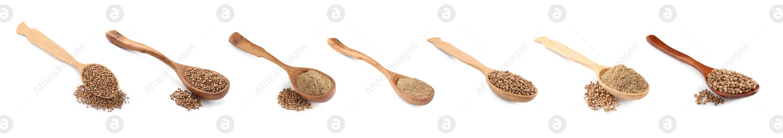 Image of Set with coriander seeds and powder on white background. Banner design 