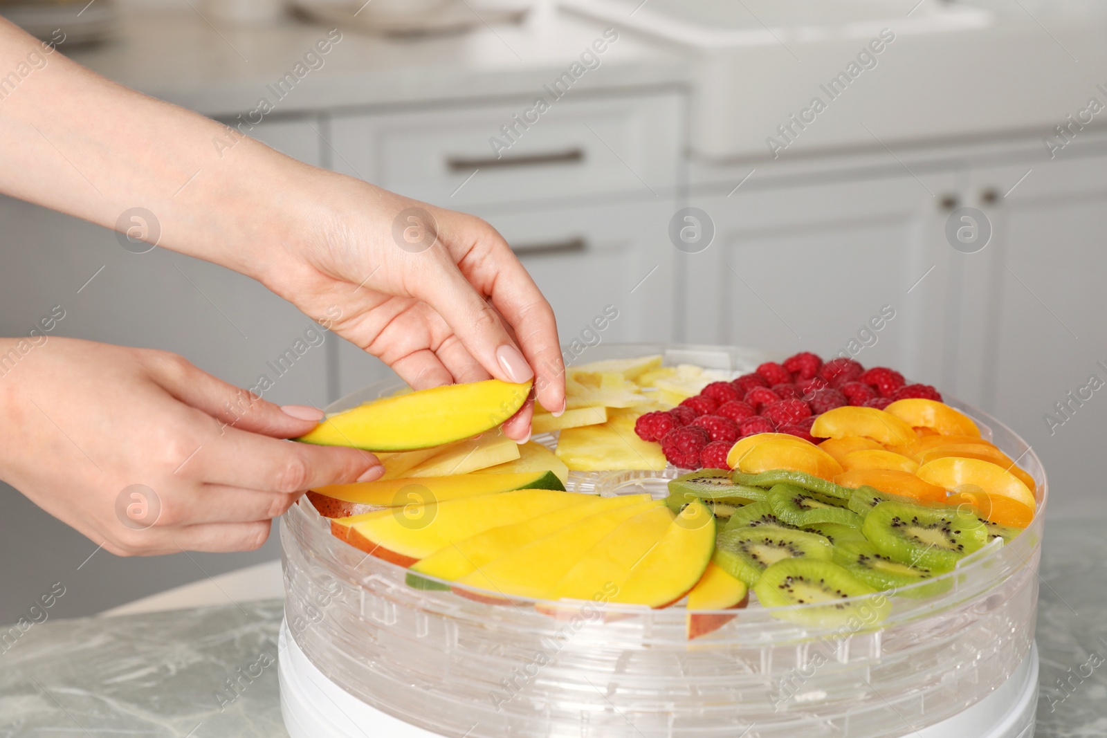 Photo of Woman putting cut mango into fruit dehydrator machine in kitchen, closeup