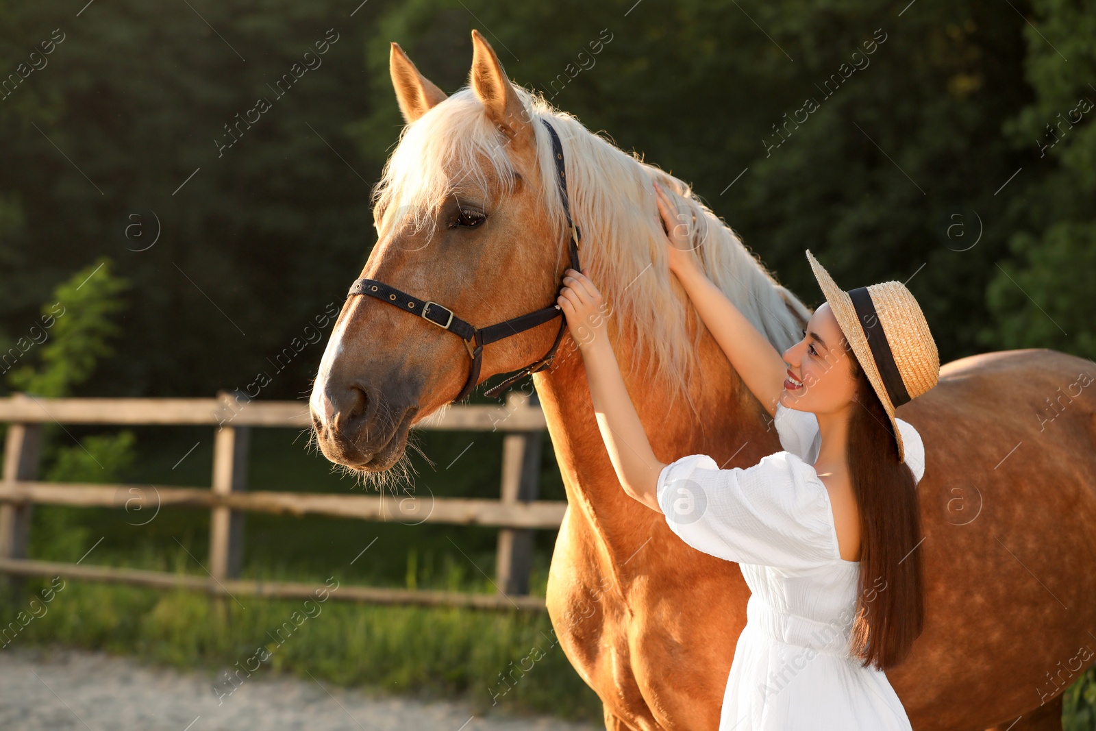 Photo of Woman with adorable horse outdoors. Lovely domesticated pet