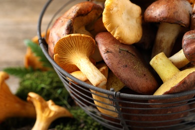 Photo of Different wild mushrooms in basket on table, closeup