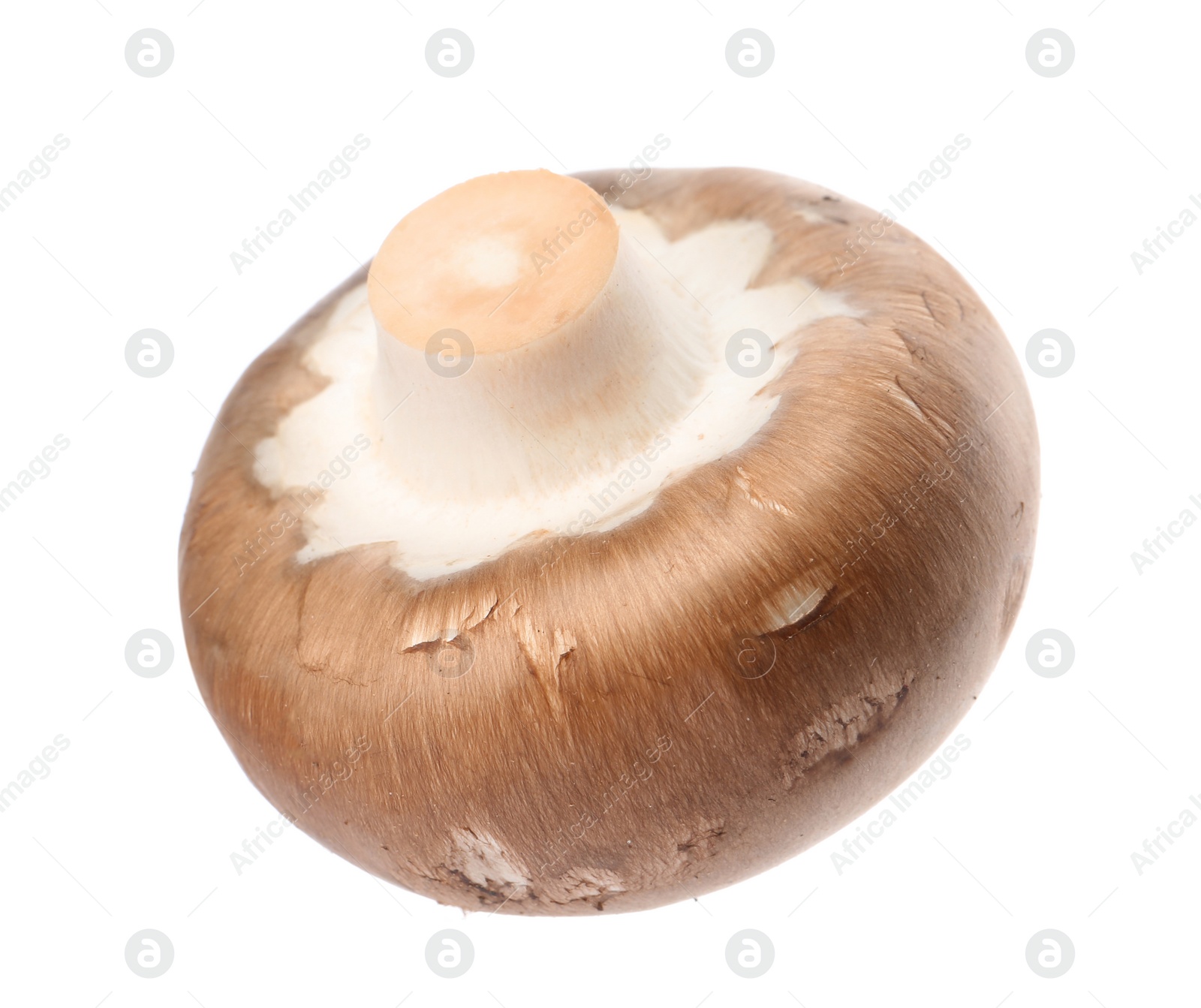 Photo of Fresh champignon mushroom isolated on white. Healthy food