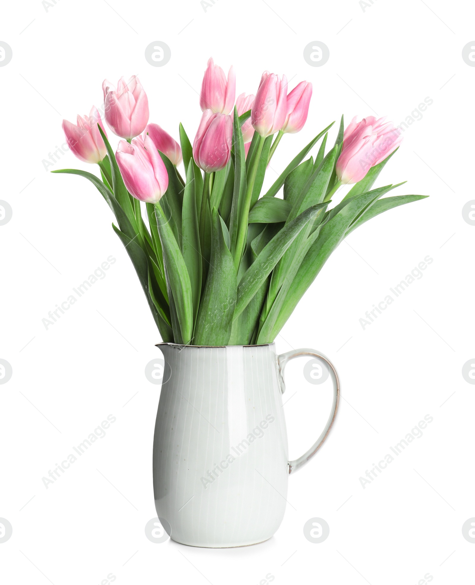 Photo of Beautiful pink spring tulips in vase isolated on white