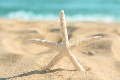 Photo of Beautiful starfish on sandy beach near sea, closeup