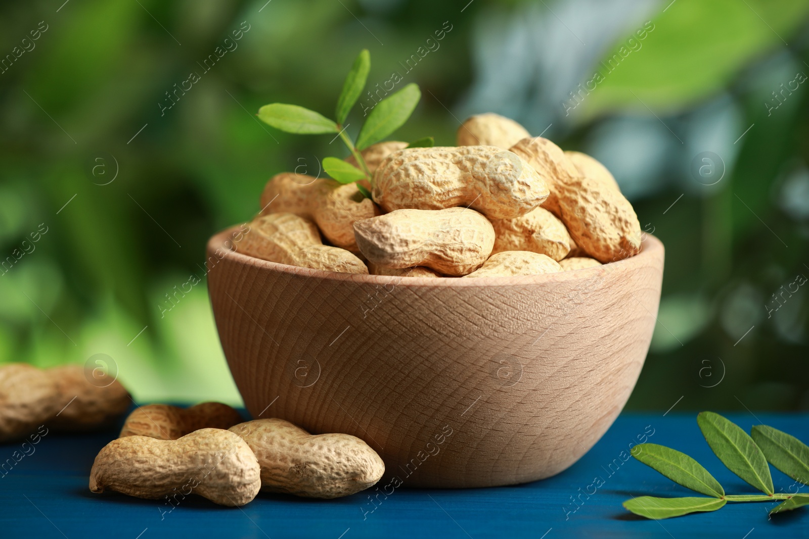 Photo of Fresh unpeeled peanuts in bowl and twigs on blue wooden table against blurred background