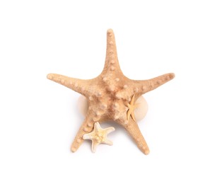 Photo of Many beautiful sea stars (starfishes) isolated on white