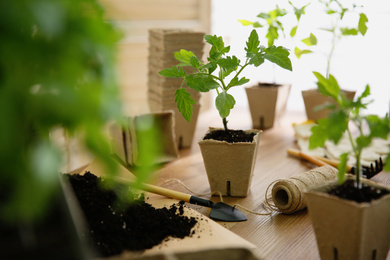 Soil, gardening trowel, rope and green tomato seedling in peat pot on wooden table