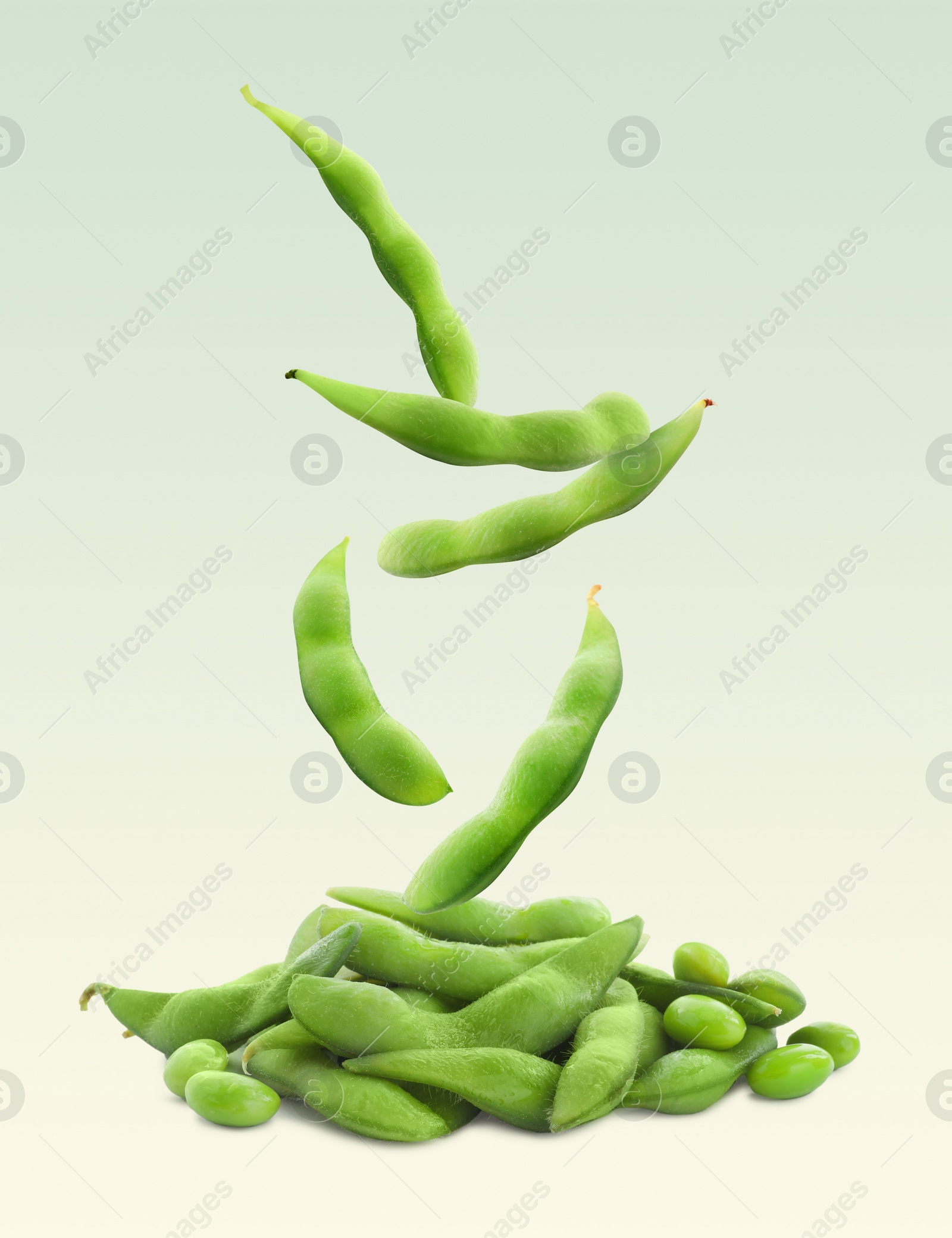 Image of Fresh edamame soybeans and pods falling onto pile against color background