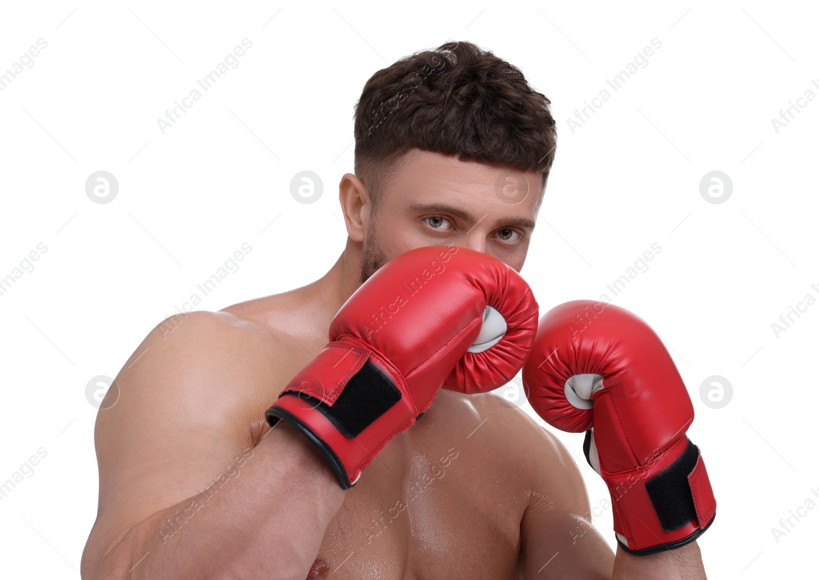 Photo of Man in boxing gloves on white background