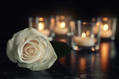 White rose and blurred burning candles on table in darkness, space for text. Funeral symbol