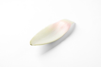 Photo of Beautiful lotus flower petal isolated on white