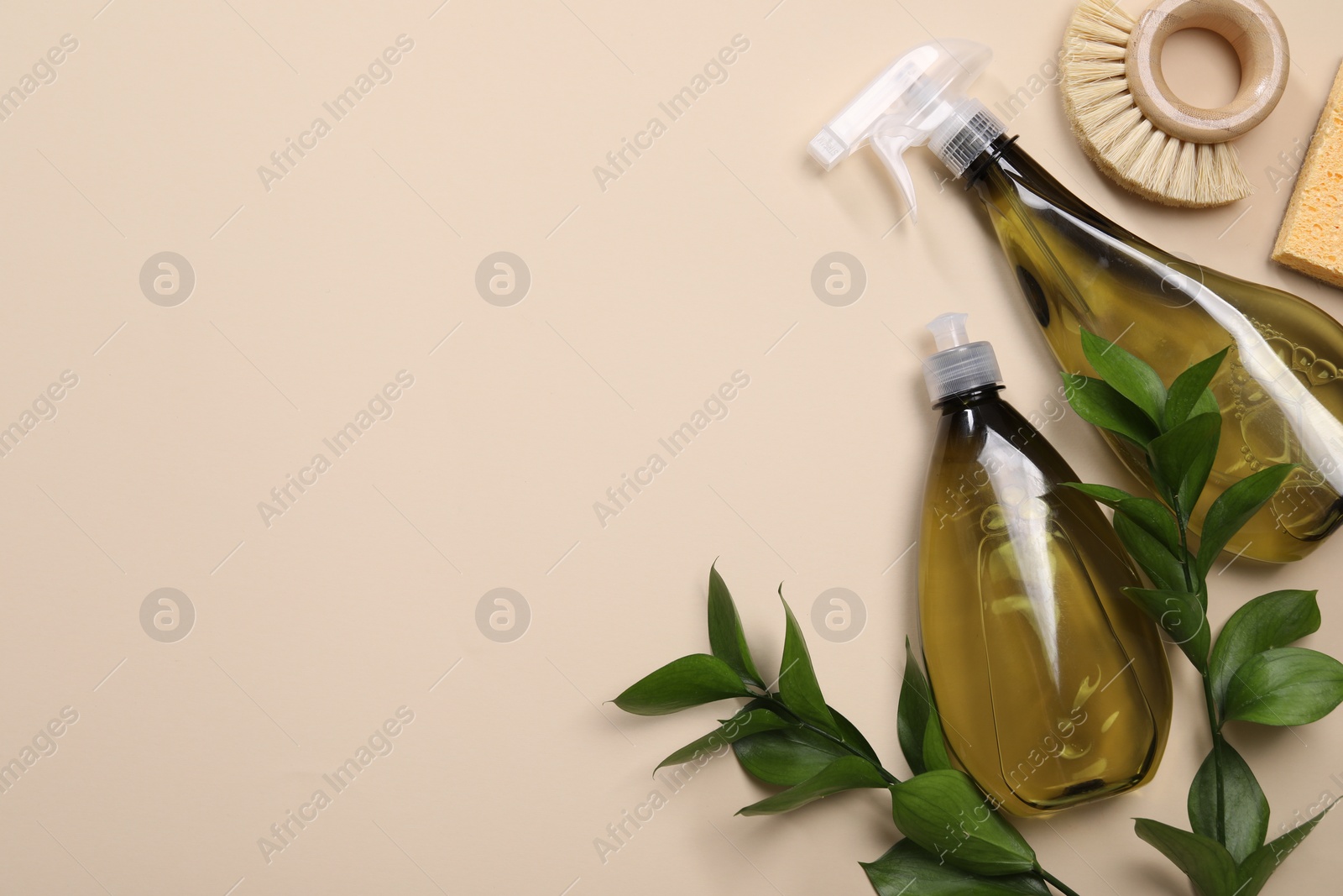 Photo of Bottles of cleaning product, brush, sponge and floral decor on beige background, flat lay. Space for text