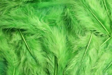 Photo of Many green beautiful feathers as background, top view