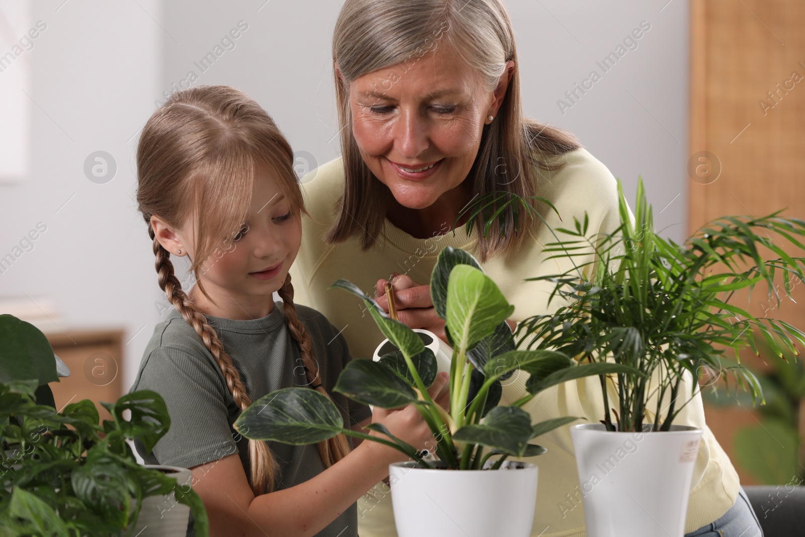 Photo of Grandmother with her granddaughter watering houseplants together at home