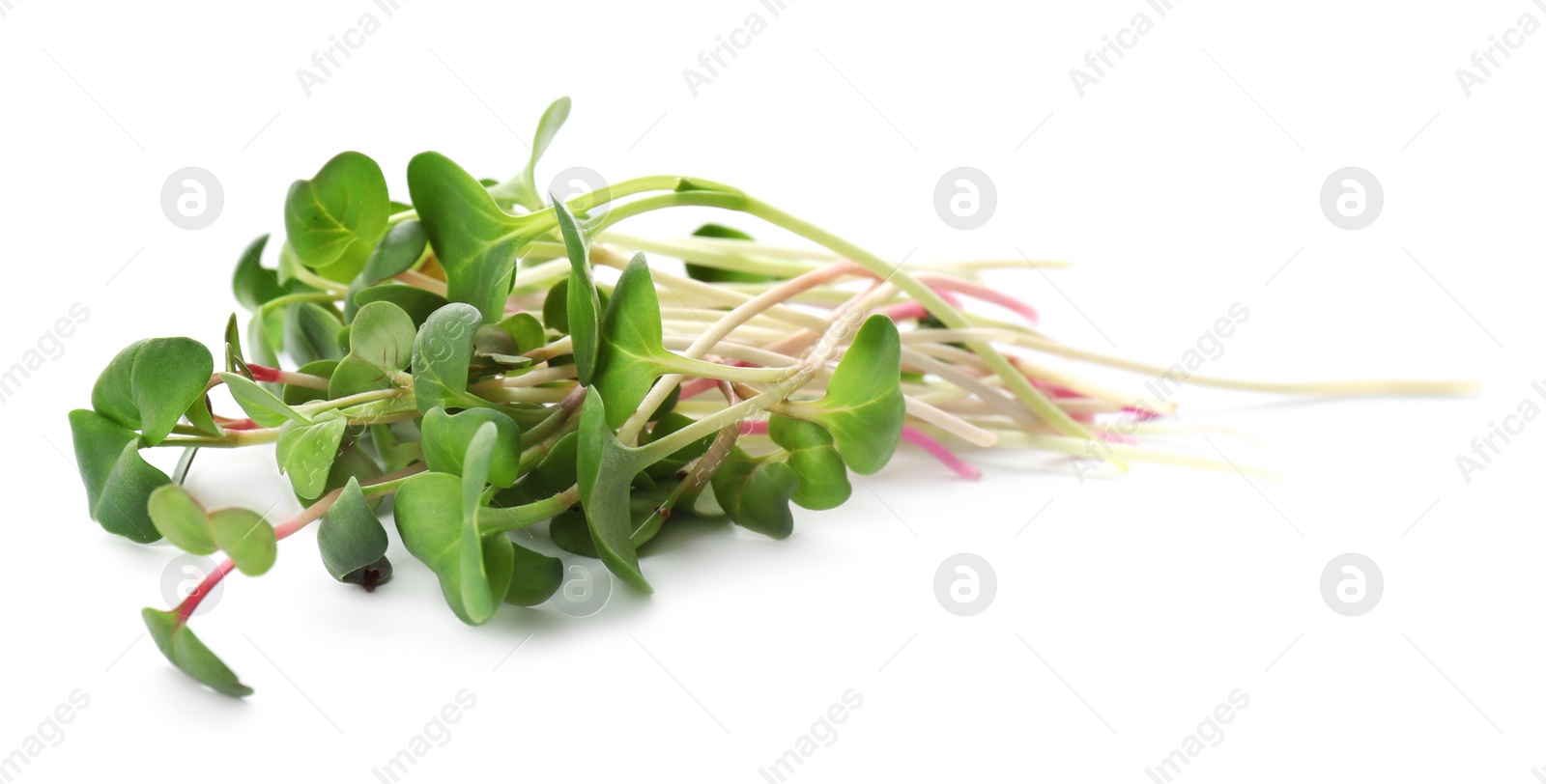 Photo of Heap of fresh radish microgreens on white background