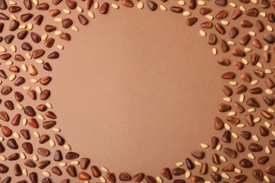 Photo of Frame made with pine nuts and space for text on color background, top view