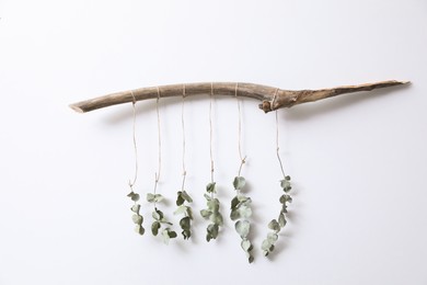 Photo of Beautiful garland made of eucalyptus and dry branch hanging on white wall