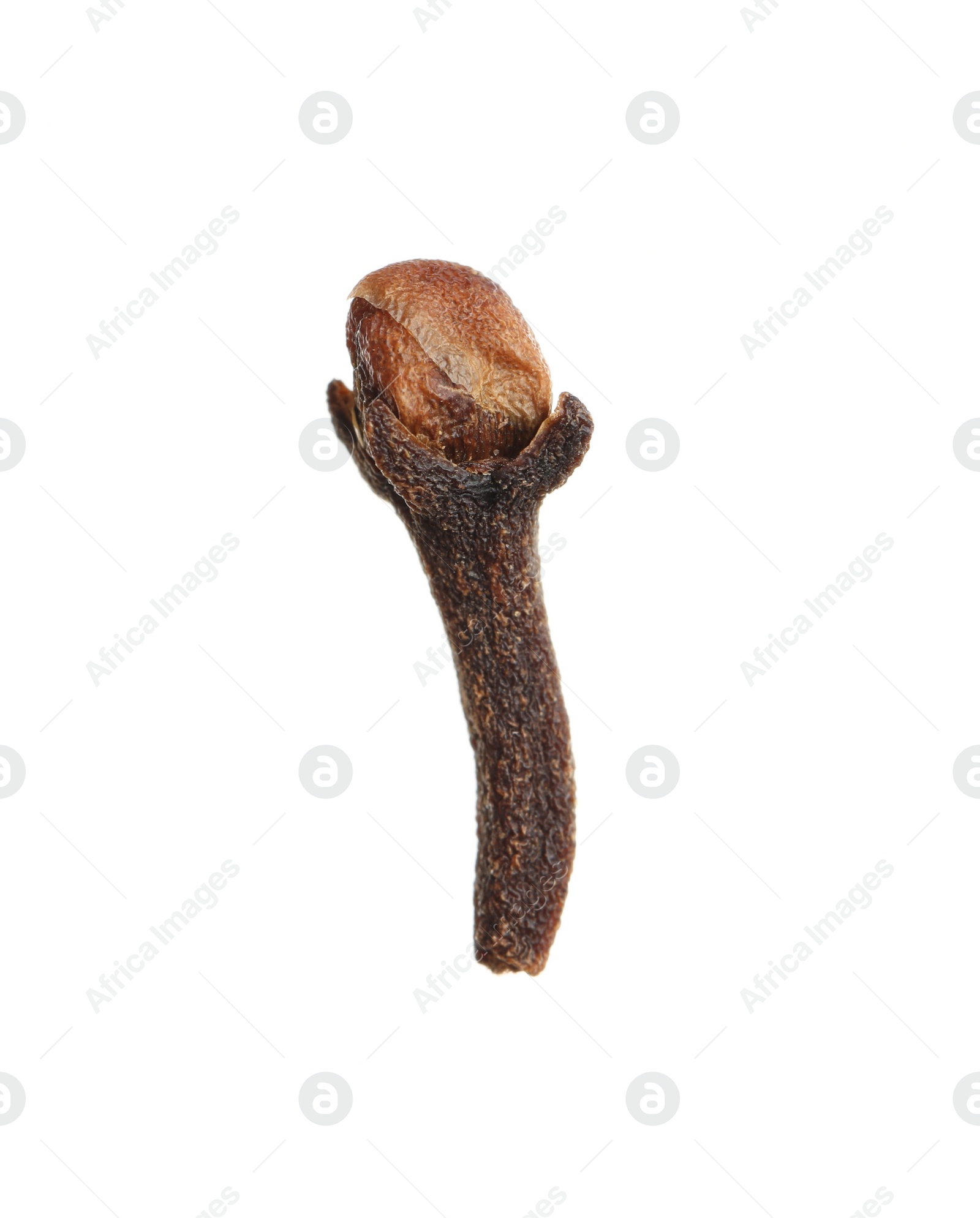 Photo of Dry clove isolated on white. Mulled wine ingredient
