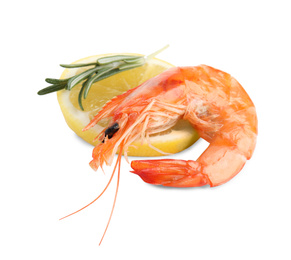 Delicious cooked shrimp, lemon and rosemary isolated on white