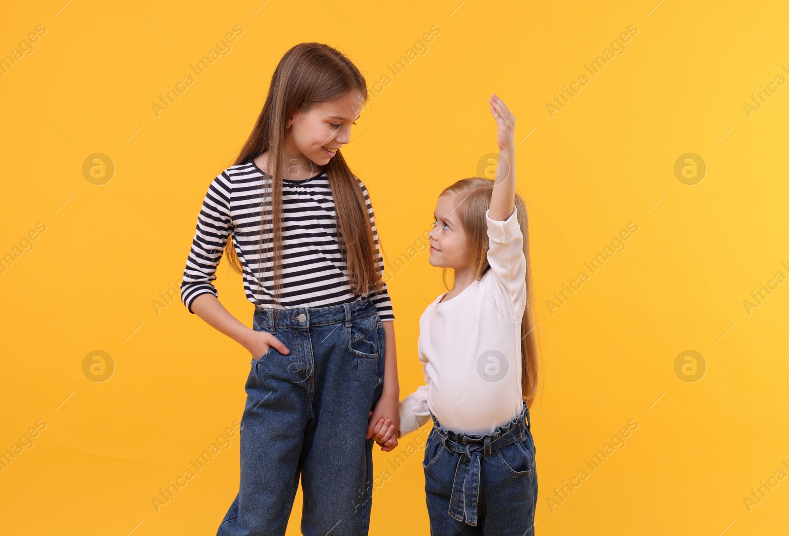 Photo of Portrait of cute little sisters on orange background