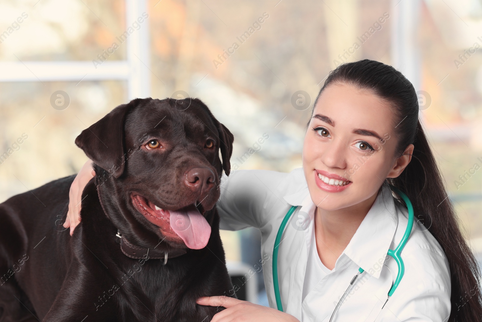 Photo of Veterinarian doc with dog in animal clinic