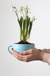 Photo of Woman holding turquoise cup with planted snowdrops on light background, closeup