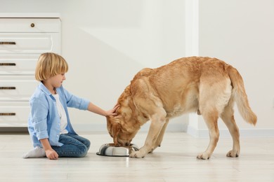 Photo of Cute little child feeding Golden Retriever at home. Adorable pet