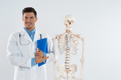 Male orthopedist with human skeleton model against light background