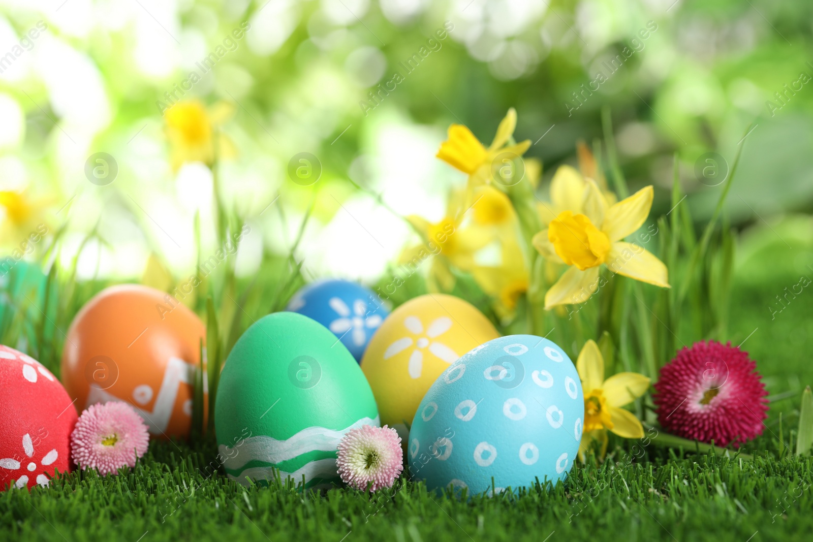 Photo of Colorful Easter eggs and flowers in green grass. Space for text