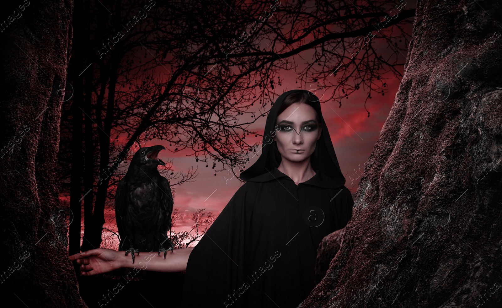 Image of Mysterious witch with raven  in dark forest. Fantasy world