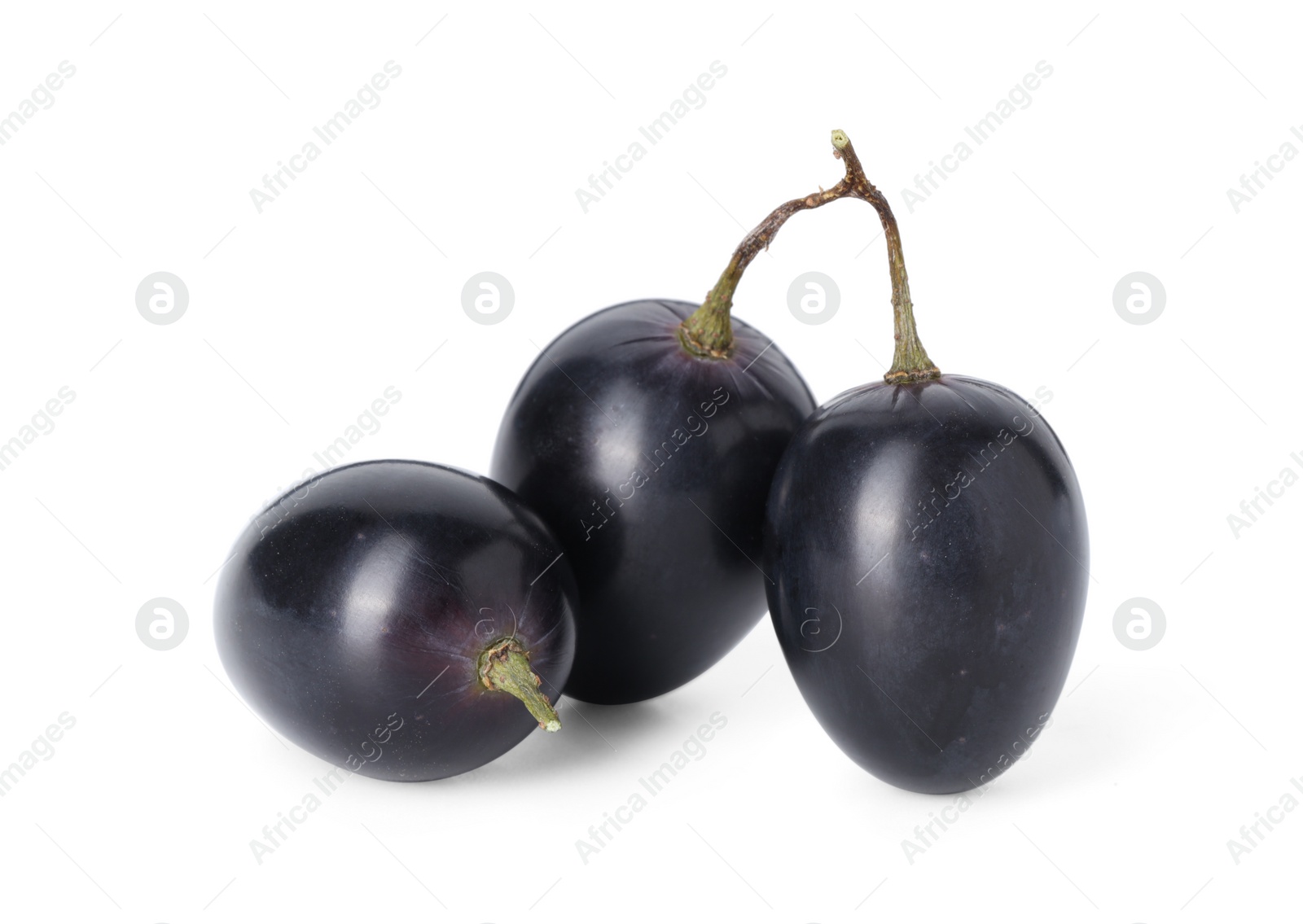 Photo of Delicious ripe dark blue grapes isolated on white